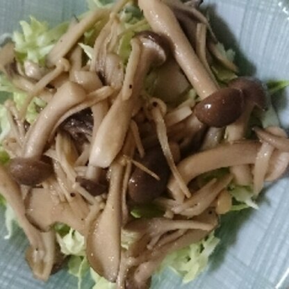 炒めたものを生野菜に載せるって何だか新鮮でした。簡単なのにご馳走になりますね。また作りたいです。